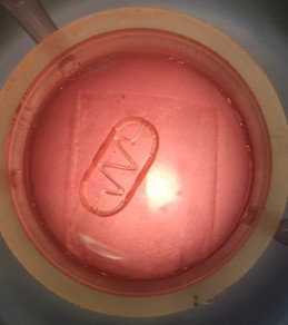 Moleküler Düzeyde Gerçek Zamanlı Kablosuz Beden-içi Algılama