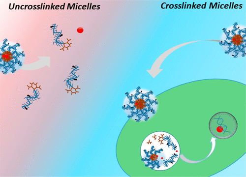 Dendron–Polymer Conjugate Based Cross-Linked Micelles: A Robust and Versatile Nanosystem for Targeted Delivery