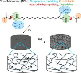 Structure-property relationships of novel phosphonate-functionalized networks and gels of poly(β-amino esters)