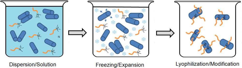 Revolution/rotation‐type mixing‐assisted masterbatch process for polypropylene‐based high‐impact ternary nanocomposites