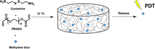 One-Step Injectable and Bioreducible Poly(β-Amino Ester) Hydrogels as Controlled Drug Delivery Platforms