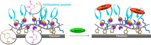 Thiol-Reactive Polymers for Titanium Interfaces: Fabrication of Antimicrobial Coatings