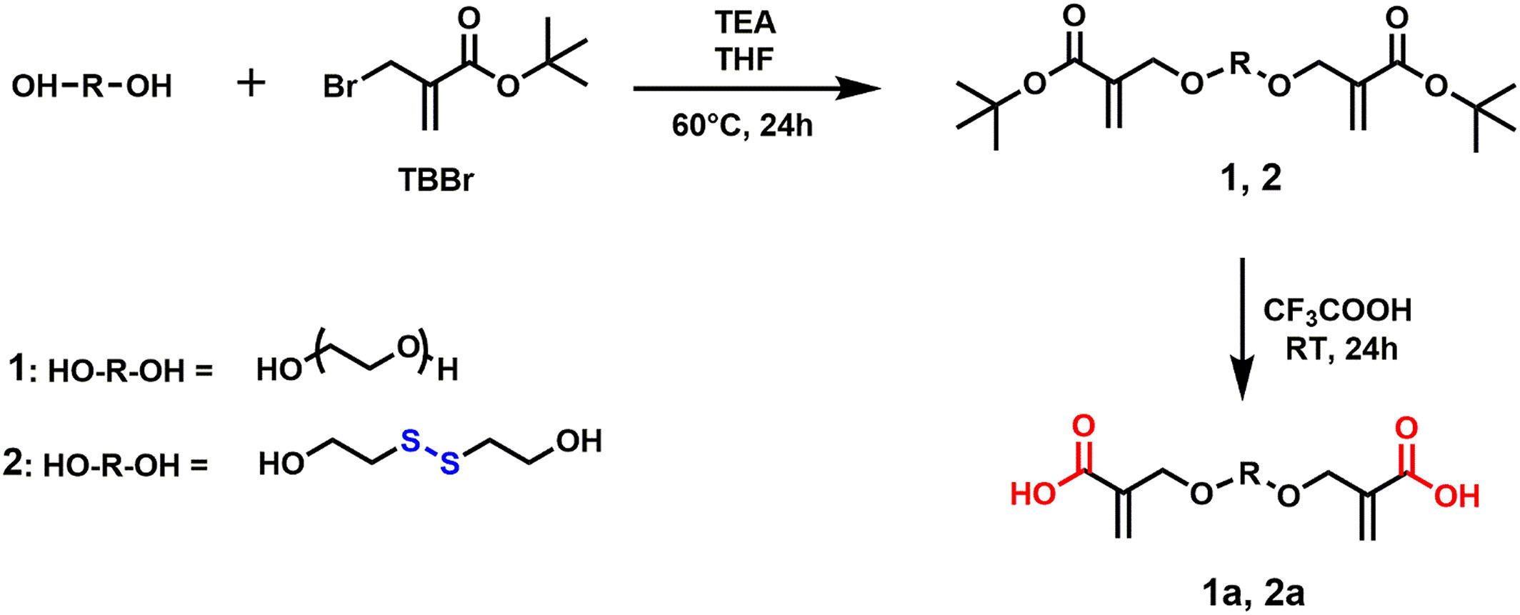 Stimuli‐responsive poly(hydroxyethyl methacrylate) hydrogels from carboxylic acid‐functionalized crosslinkers