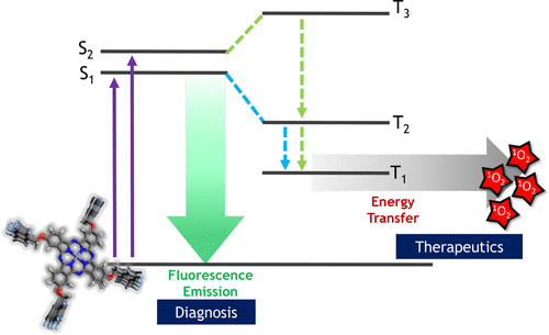 Exploring the Photophysics of Polyfluorinated Phthalocyanine Derivatives as Potential Theranostic Agents