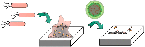 Biodegradable Nanocomposite Antimicrobials for the Eradication of Multidrug-Resistant Bacterial Biofilms without Accumulated Resistance