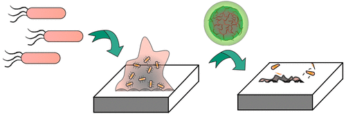 Biodegradable Nanocomposite Antimicrobials for the Eradication of Multidrug-Resistant Bacterial Biofilms without Accumulated Resistance