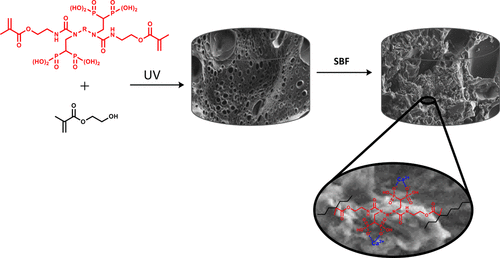 Bisphosphonic Acid-Functionalized Cross-Linkers to Tailor Hydrogel Properties for Biomedical Applications