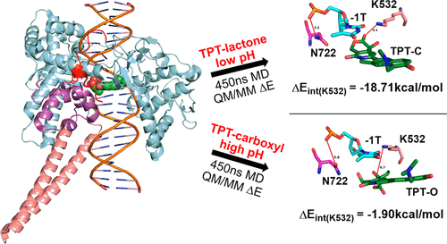 Activity of Topotecan toward the DNA/Topoisomerase I Complex: A Theoretical Rationalization