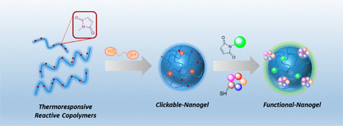 "Clickable" Nanogels via Thermally Driven Self-Assembly of Polymers: Facile Access to Targeted Imaging Platforms using Thiol-Maleimide Conjugation