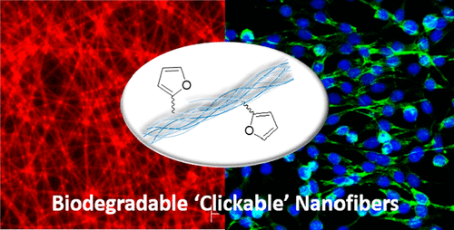 Diels–Alder “Clickable” Biodegradable Nanofibers: Benign Tailoring of Scaffolds for Biomolecular Immobilization and Cell Growth
