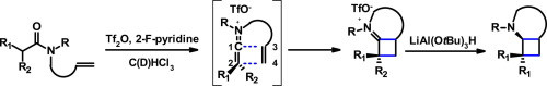 Synthesis of 4-membered Ring Alkaloid Analogues via Intramolecular [2+2] Cycloaddition Involving Keteniminium Salt Intermediates