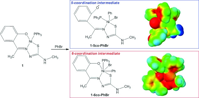 Nickel(II)–PPh3 Complexes of S,N-Substituted Thiosemicarbazones – Structure, DFT Study, and Catalytic Efficiency
