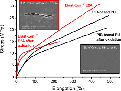 Polyisobutylene-Based Polyurethanes: VII. Structure/Property Investigations for Medical Applications