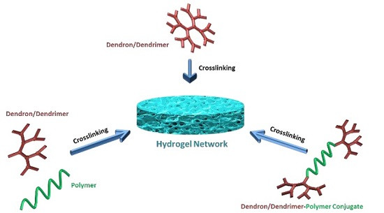 Dendrimers and Dendrons as Versatile Building Blocks for the Fabrication of Functional Hydrogels
