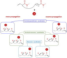Effect of Lewis Acids on the Stereoregularity of N,N-dimethyl Acrylamide: A Computational Approach
