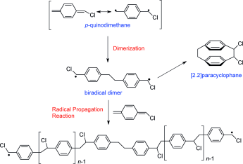 PPV Polymerization through the Gilch Route: Diradical Character of Monomers