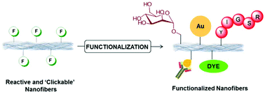 Reactive and ‘Clickable' Electrospun Polymeric Nanofibers