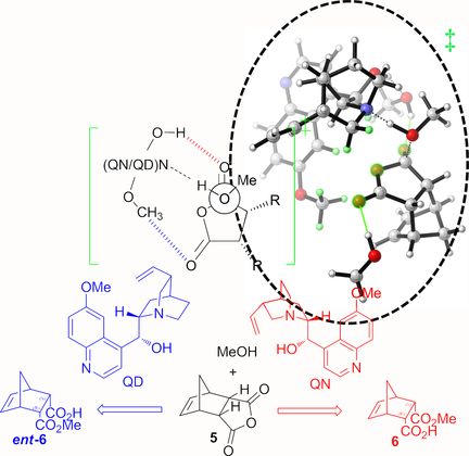 Cinchona Alkaloid Catalyzed Asymmetric Desymmetrization of meso‐Cyclic Anhydrides: The Origins of Stereoselectivity