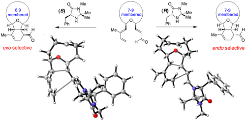 Medium-Ring Effects on the Endo/Exo Selectivity of the Organocatalytic Intramolecular Diels–Alder Reaction