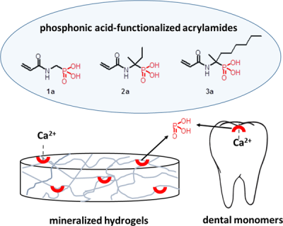 Synthesis and Evaluation of New Phosphonic Acid-Functionalized Acrylamides with Potential Biomedical Applications