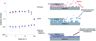 "Bio-glues" to Enhance Slipperiness of Mucins: Improved Lubricity and Wear Resistance of Porcine Gastric Mucin (PGM) Layers Assisted by Mucoadhesion with Chitosan