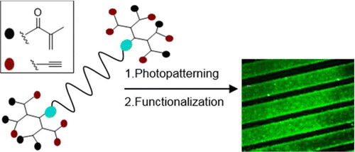 Photopatternable “Clickable” Hydrogels: “Orthogonal” Control over Fabrication and Functionalization