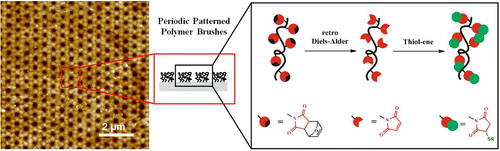 Fabrication of Thiol-Ene "Clickable" Copolymer-Brush Nanostructures on Polymeric Substrates via Extreme Ultraviolet Interference Lithography