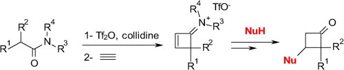 Efficient Access to Functionalized Cyclobutanone Derivatives Using Cyclobuteniminium Salts as Highly Reactive Michael Acceptors