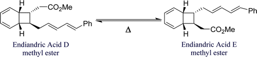 Possibility of [1,5] Sigmatropic Shifts in Bicyclo[4.2.0]octa-2,4-dienes
