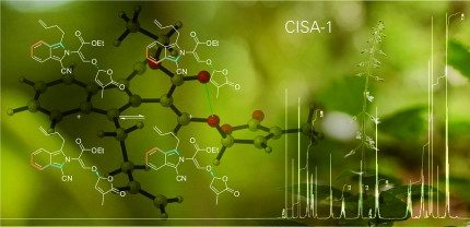 Elucidating the Structural Isomerism of Fluorescent Strigolactone Analogue CISA-1