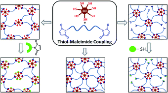 Cyclodextrin Mediated Polymer Coupling via Thiol–Maleimide Conjugation: Facile Access to Functionalizable Hydrogels
