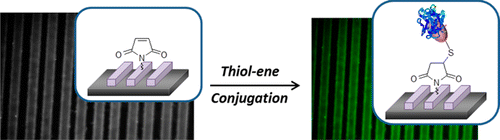 Indispensable Platforms for Bioimmobilization: Maleimide-Based Thiol Reactive Hydrogels