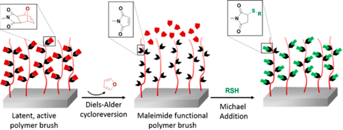 Maleimide-Functionalized Thiol Reactive Copolymer Brushes: Fabrication and Post-Polymerization Modification