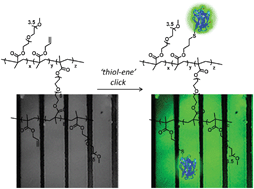 Clickable' hydrogels for all: facile fabrication and functionalization