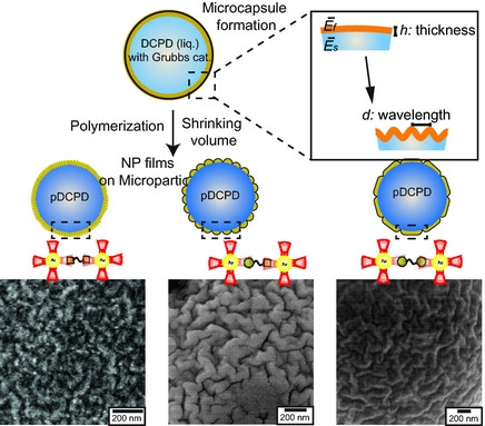 Tunable Elastic Modulus of Nanoparticle Monolayer Films by Host–Guest Chemistry