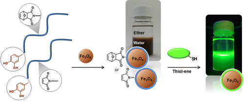 Bioinspired Anchorable Thiol-Reactive Polymers: Synthesis and Applications Toward Surface Functionalization of Magnetic Nanoparticles