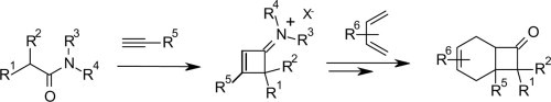 Cycloaddition of Keteniminium with Terminal Alkynes toward Cyclobuteniminium and Their Use in Diels–Alder Reactions