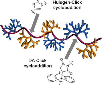 Dendronized polystyrene via orthogonal double-click reactions