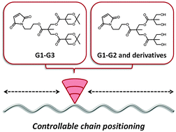 Sequence-controlled polymerization using dendritic macromonomers: precise chain-positioning of bulky functional clusters