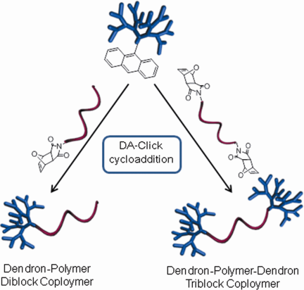 Dendron–polymer conjugates via the diels–alder “click” reaction of novel anthracene-based dendrons