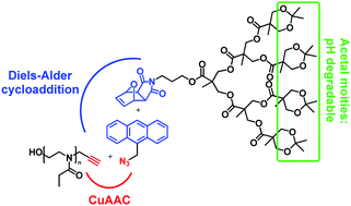 pH degradable dendron-functionalized poly(2-ethyl-2-oxazoline) prepared by a cascade “double-click” reaction