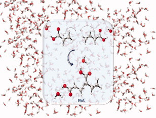 Origins of the solvent effect on the propagation kinetics of acrylic acid and methacrylic acid