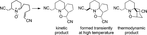 Causation in a Cascade: The Origins of Selectivities in Intramolecular Nitrone Cycloadditions
