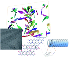 Peptide nanotube formation: a crystal growth process