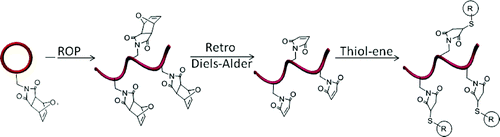 Synthesis and Functionalization of Thiol-Reactive Biodegradable Polymers