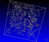 Controlling the tacticity in the polymerization of N-isopropylacrylamide: A computational study