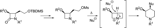 Stereoselective Synthesis of cis-3,4-Disubstituted Piperidines through Ring Transformation of 2-(2-Mesyloxyethyl)azetidines