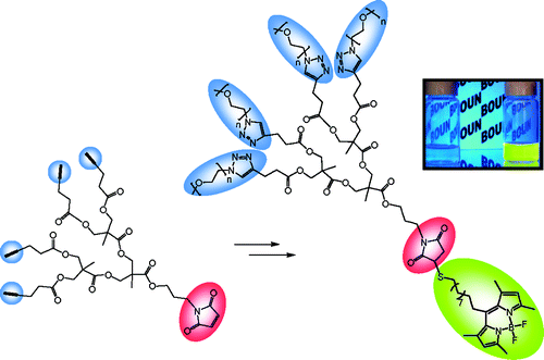 Orthogonally “Clickable” Biodegradable Dendrons