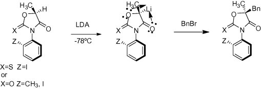 Stereoselective lithiation and alkylation and aldol reactions of chiral 5-methyl-3-(o-aryl)-oxazolidinones