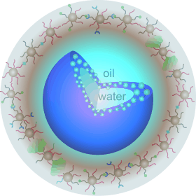 Colloidal Microcapsules: Self-Assembly of Nanoparticles at the Liquid-Liquid Interface
